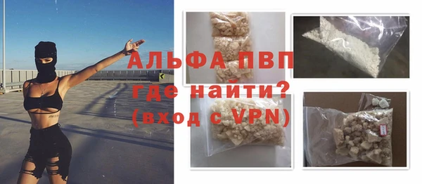 молекула духа Пересвет