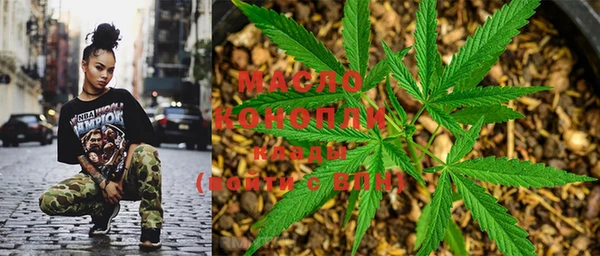 мдпв Пестово