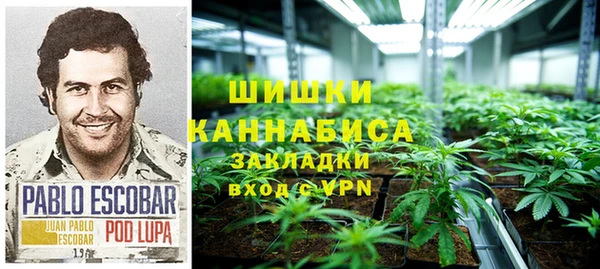 мдпв Пестово