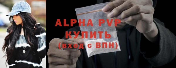 молекула духа Пересвет