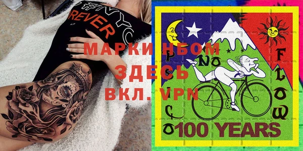 мдпв Пестово