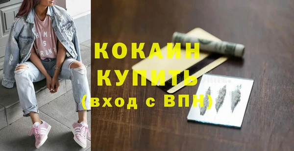 молекула духа Пересвет