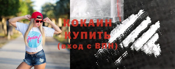 молекула духа Пересвет