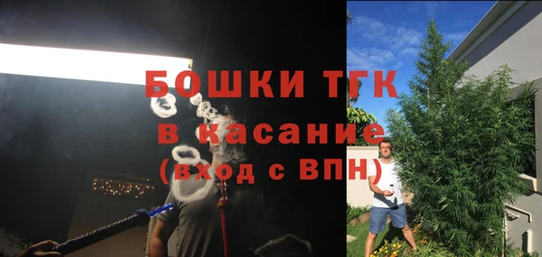 мдпв Пестово