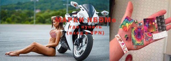 молекула духа Пересвет